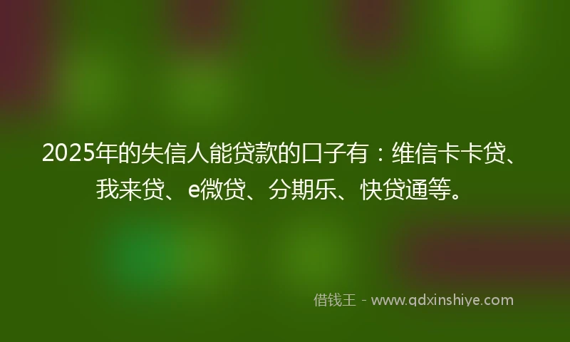 2025年的失信人能贷款的口子有:维信卡卡贷、我来贷、e微贷、分期乐、快贷通等。