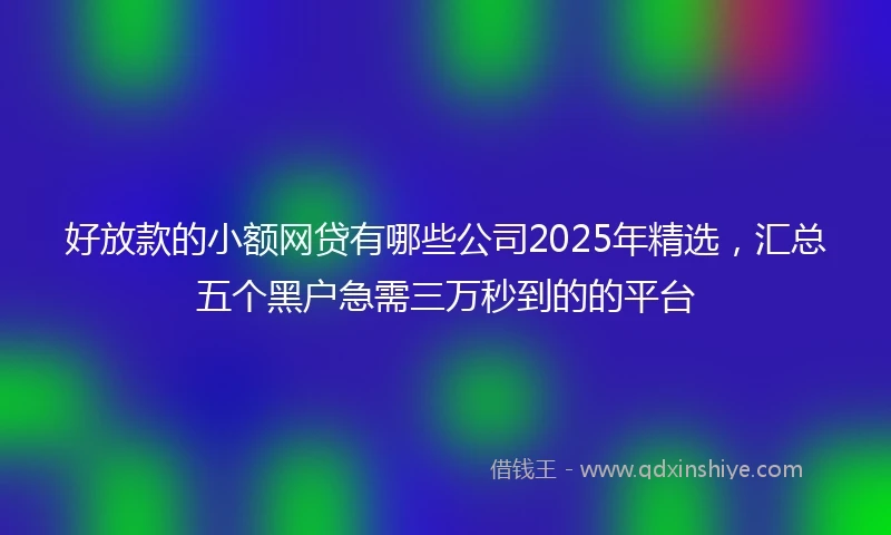 好放款的小额网贷有哪些公司2025年精选，汇总五个黑户急需三万秒到的的平台
