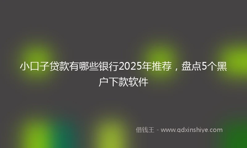 小口子贷款有哪些银行2025年推荐，盘点5个黑户下款软件