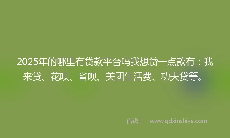 2025年的哪里有贷款平台吗我想贷一点款有：我来贷、花呗、省呗、美团生活费、功夫贷等。