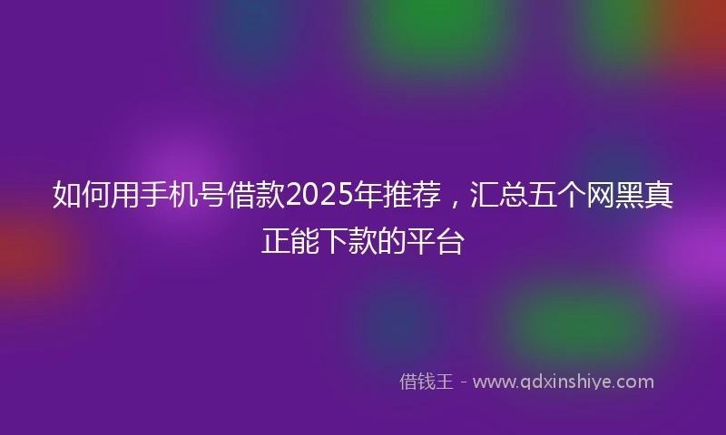 如何用手机号借款2025年推荐，汇总五个网黑真正能下款的平台