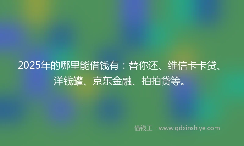 2025年的哪里能借钱有：替你还、维信卡卡贷、洋钱罐、京东金融、拍拍贷等。