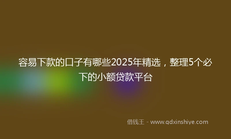 容易下款的口子有哪些2025年精选，整理5个必下的小额贷款平台