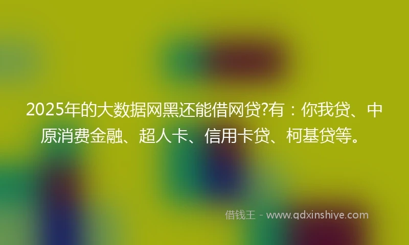 2025年的大数据网黑还能借网贷?有：你我贷、中原消费金融、超人卡、信用卡贷、柯基贷等。
