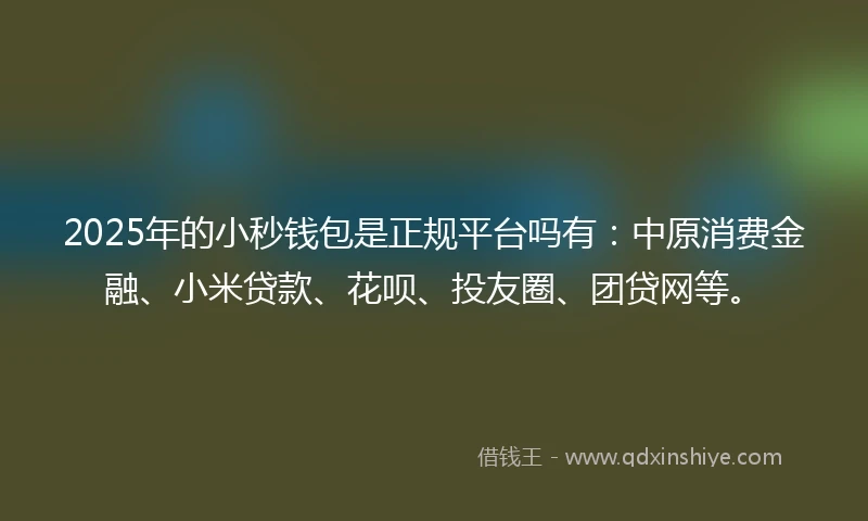 2025年的小秒钱包是正规平台吗有：中原消费金融、小米贷款、花呗、投友圈、团贷网等。