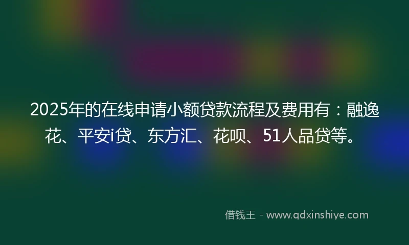 2025年的在线申请小额贷款流程及费用有：融逸花、平安i贷、东方汇、花呗、51人品贷等。