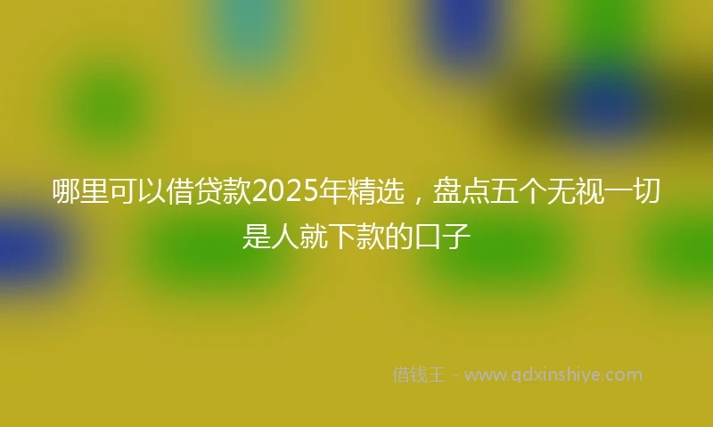 哪里可以借贷款2025年精选，盘点五个无视一切是人就下款的口子
