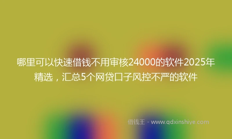 哪里可以快速借钱不用审核24000的软件2025年精选，汇总5个网贷口子风控不严的软件
