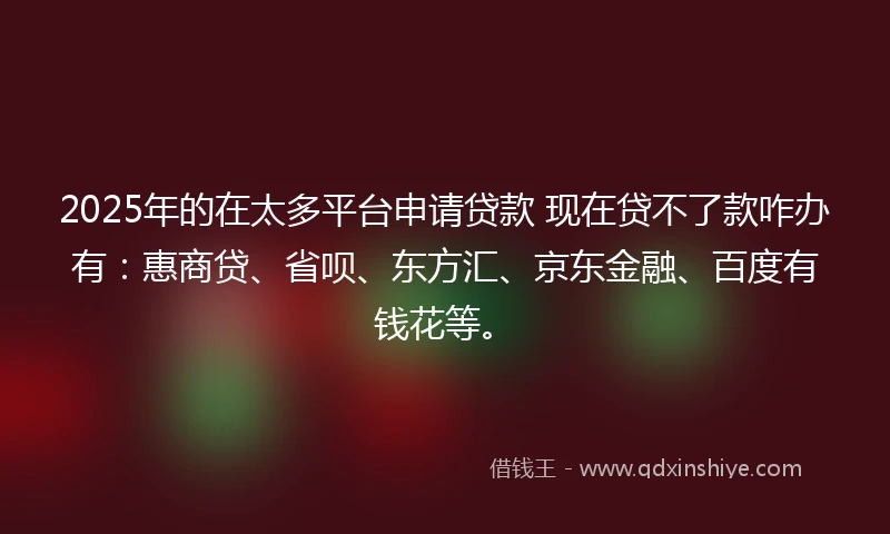 2025年的在太多平台申请贷款 现在贷不了款咋办有：惠商贷、省呗、东方汇、京东金融、百度有钱花等。