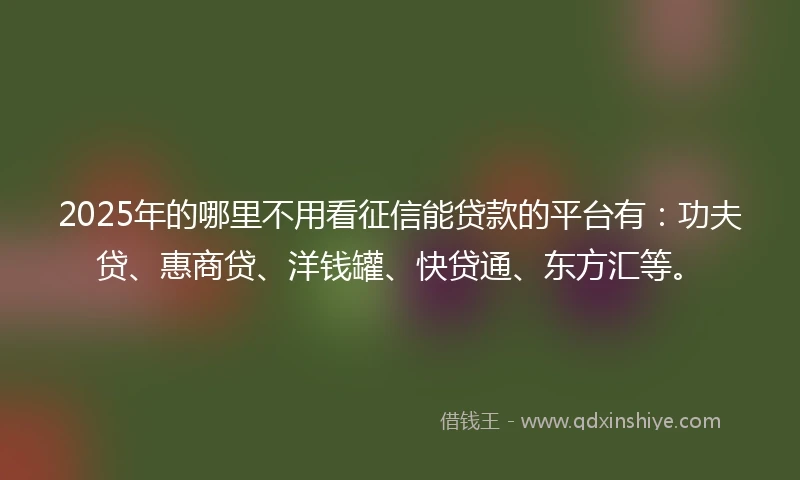 2025年的哪里不用看征信能贷款的平台有：功夫贷、惠商贷、洋钱罐、快贷通、东方汇等。