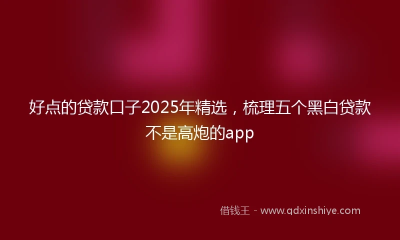 好点的贷款口子2025年精选，梳理五个黑白贷款不是高炮的app