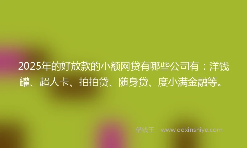 2025年的好放款的小额网贷有哪些公司有：洋钱罐、超人卡、拍拍贷、随身贷、度小满金融等。