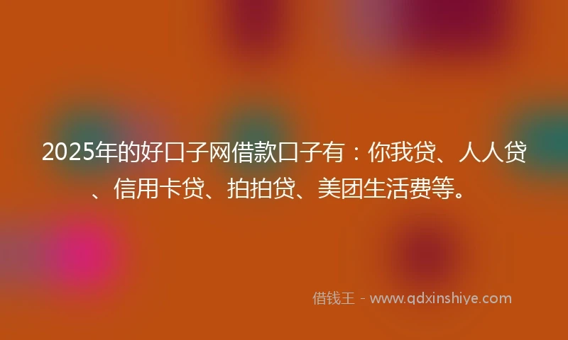 2025年的好口子网借款口子有：你我贷、人人贷、信用卡贷、拍拍贷、美团生活费等。