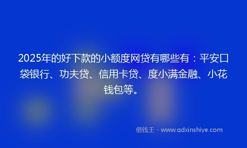 2025年的好下款的小额度网贷有哪些有：平安口袋银行、功夫贷、信用卡贷、度小满金融、小花钱包等。