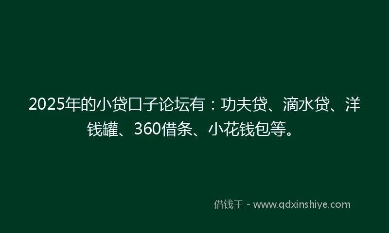 2025年的小贷口子论坛有：功夫贷、滴水贷、洋钱罐、360借条、小花钱包等。