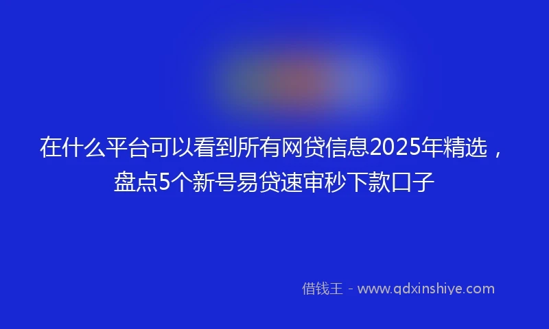 在什么平台可以看到所有网贷信息2025年精选，盘点5个新号易贷速审秒下款口子