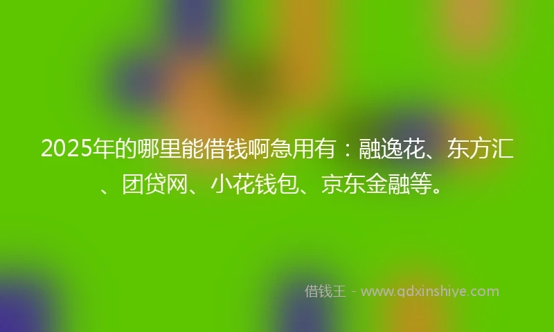 2025年的哪里能借钱啊急用有：融逸花、东方汇、团贷网、小花钱包、京东金融等。