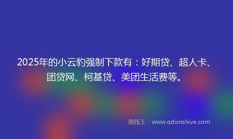 2025年的小云豹强制下款有：好期贷、超人卡、团贷网、柯基贷、美团生活费等。