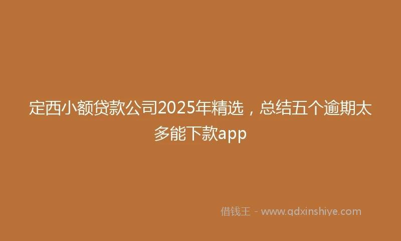 定西小额贷款公司2025年精选，总结五个逾期太多能下款app