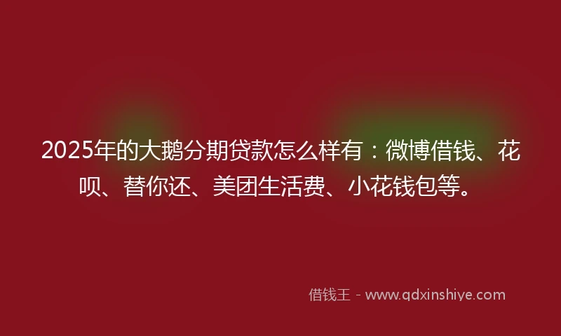 2025年的大鹅分期贷款怎么样有：微博借钱、花呗、替你还、美团生活费、小花钱包等。