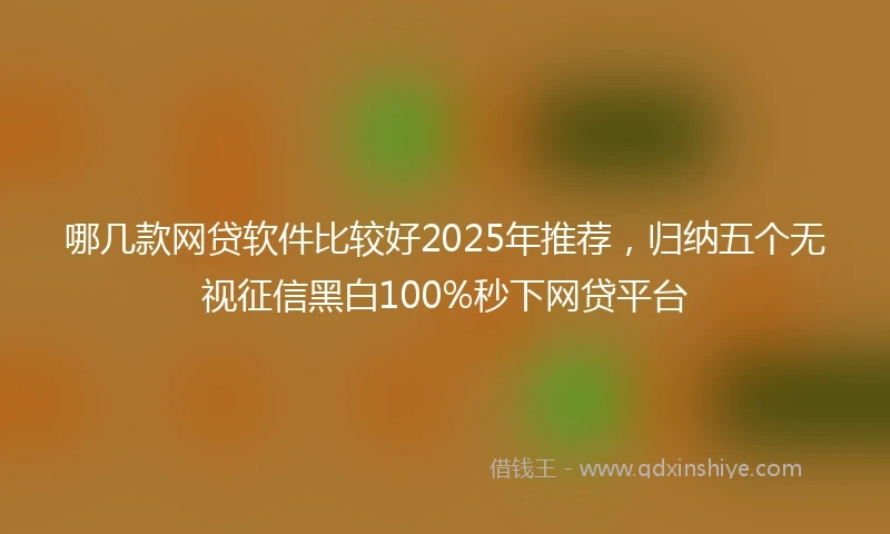 哪几款网贷软件比较好2025年推荐，归纳五个无视征信黑白100%秒下网贷平台