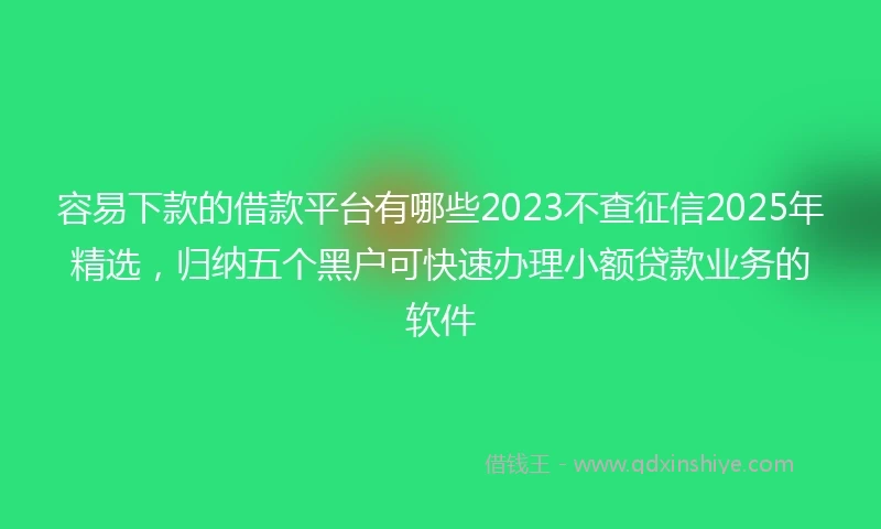 容易下款的借款平台有哪些2023不查征信2025年精选，归纳五个黑户可快速办理小额贷款业务的软件