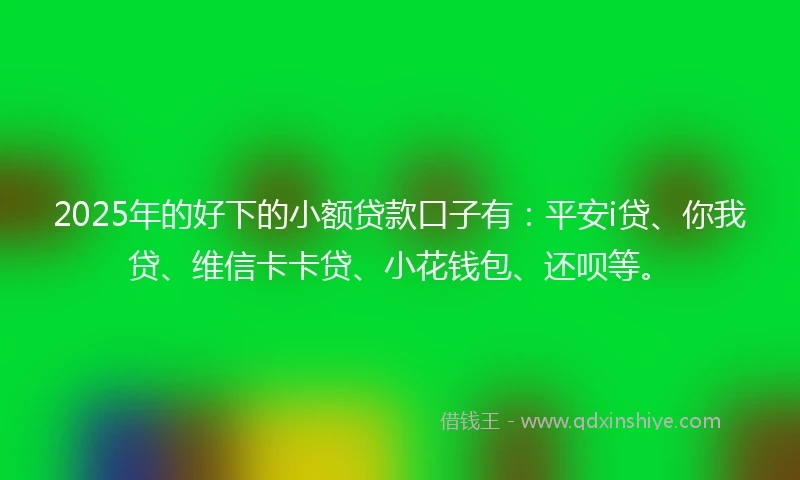 2025年的好下的小额贷款口子有：平安i贷、你我贷、维信卡卡贷、小花钱包、还呗等。