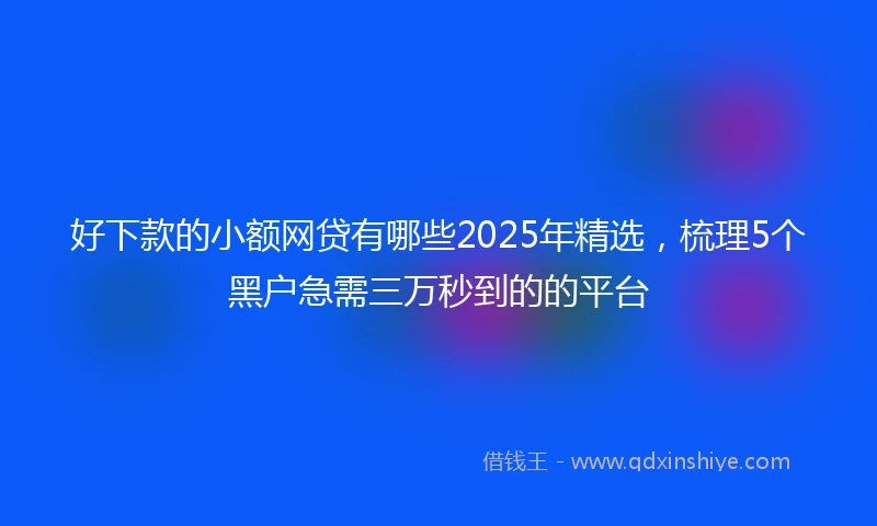 好下款的小额网贷有哪些2025年精选，梳理5个黑户急需三万秒到的的平台
