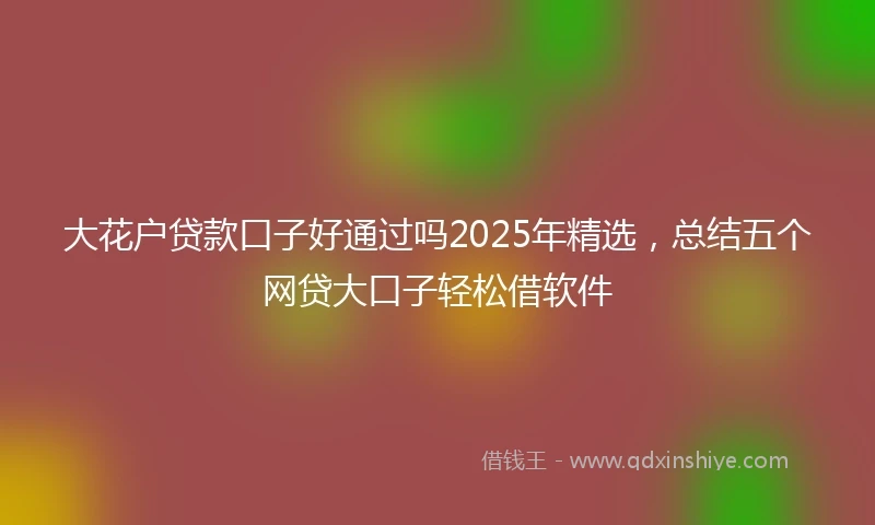 大花户贷款口子好通过吗2025年精选，总结五个网贷大口子轻松借软件