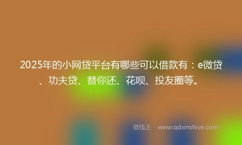2025年的小网贷平台有哪些可以借款有：e微贷、功夫贷、替你还、花呗、投友圈等。