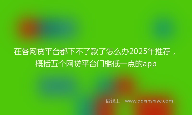 在各网贷平台都下不了款了怎么办2025年推荐，概括五个网贷平台门槛低一点的app