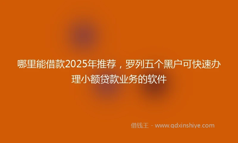 哪里能借款2025年推荐，罗列五个黑户可快速办理小额贷款业务的软件