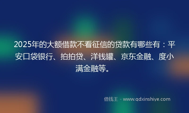 2025年的大额借款不看征信的贷款有哪些有:平安口袋银行、拍拍贷、洋钱罐、京东金融、度小满金融等。