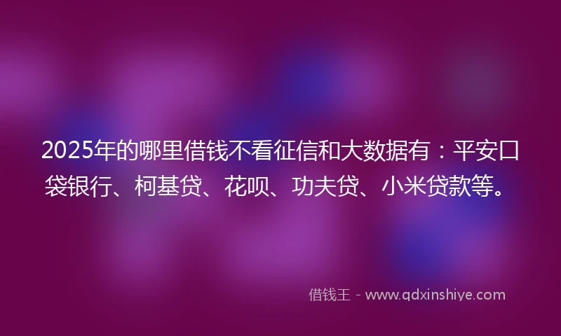 2025年的哪里借钱不看征信和大数据有：平安口袋银行、柯基贷、花呗、功夫贷、小米贷款等。