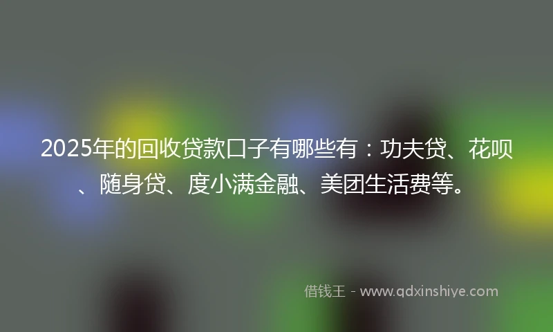 2025年的回收贷款口子有哪些有：功夫贷、花呗、随身贷、度小满金融、美团生活费等。