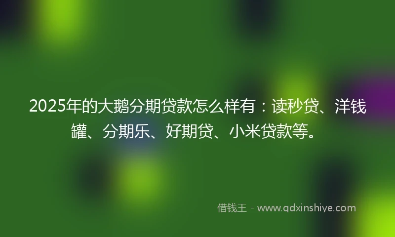 2025年的大鹅分期贷款怎么样有：读秒贷、洋钱罐、分期乐、好期贷、小米贷款等。