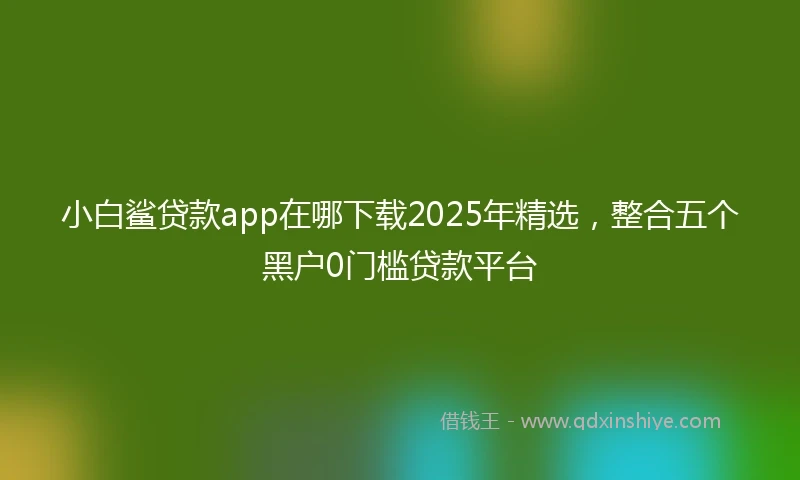 小白鲨贷款app在哪下载2025年精选，整合五个黑户0门槛贷款平台