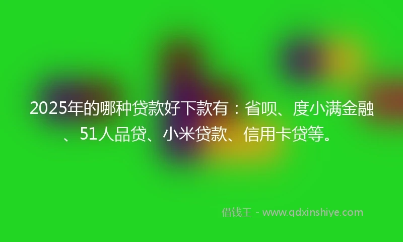 2025年的哪种贷款好下款有：省呗、度小满金融、51人品贷、小米贷款、信用卡贷等。