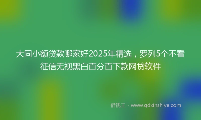大同小额贷款哪家好2025年精选，罗列5个不看征信无视黑白百分百下款网贷软件