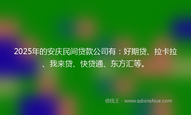 2025年的安庆民间贷款公司有：好期贷、拉卡拉、我来贷、快贷通、东方汇等。