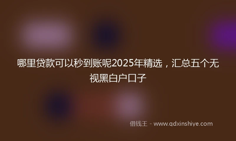 哪里贷款可以秒到账呢2025年精选，汇总五个无视黑白户口子