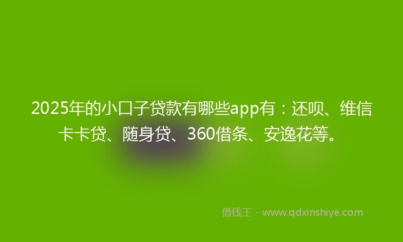 2025年的小口子贷款有哪些app有：还呗、维信卡卡贷、随身贷、360借条、安逸花等。