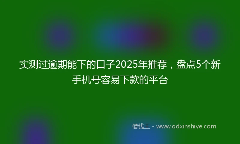 实测过逾期能下的口子2025年推荐，盘点5个新手机号容易下款的平台