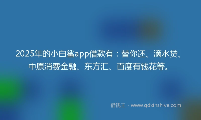 2025年的小白鲨app借款有：替你还、滴水贷、中原消费金融、东方汇、百度有钱花等。