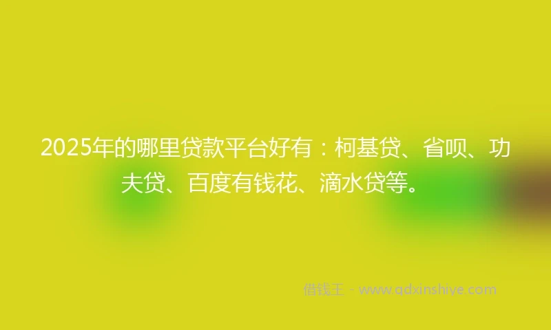 2025年的哪里贷款平台好有：柯基贷、省呗、功夫贷、百度有钱花、滴水贷等。