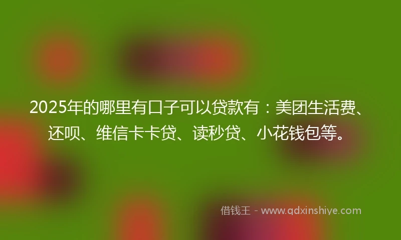 2025年的哪里有口子可以贷款有：美团生活费、还呗、维信卡卡贷、读秒贷、小花钱包等。