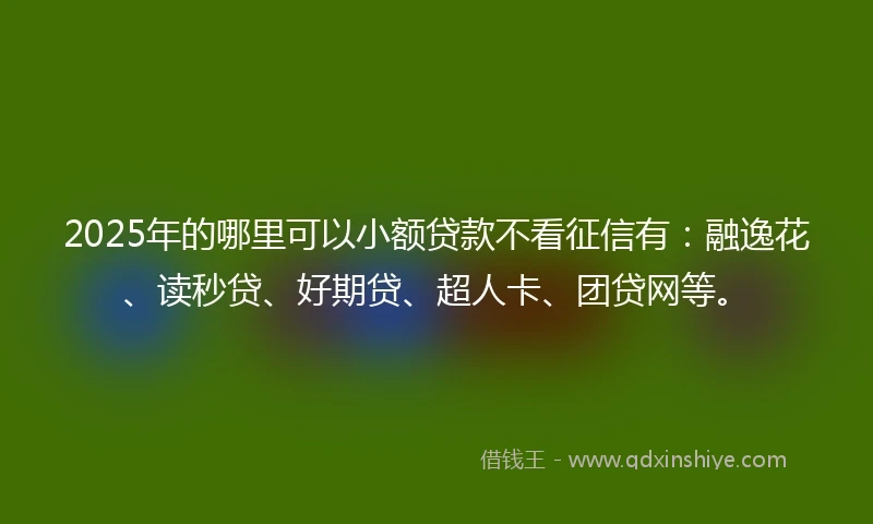 2025年的哪里可以小额贷款不看征信有：融逸花、读秒贷、好期贷、超人卡、团贷网等。