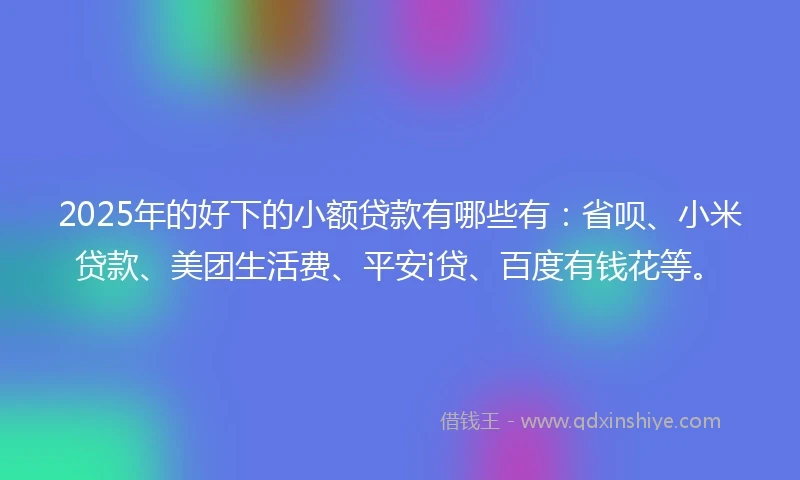 2025年的好下的小额贷款有哪些有：省呗、小米贷款、美团生活费、平安i贷、百度有钱花等。