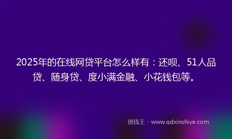 2025年的在线网贷平台怎么样有：还呗、51人品贷、随身贷、度小满金融、小花钱包等。