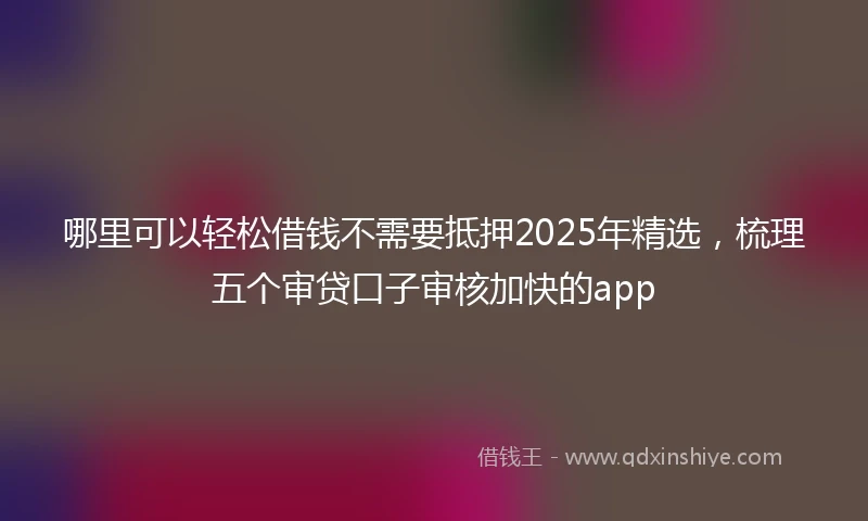 哪里可以轻松借钱不需要抵押2025年精选，梳理五个审贷口子审核加快的app